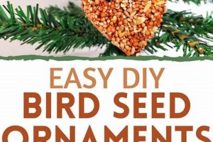 Easy DIY Bird Seed Ornaments: Fun & Festive Feeder! The DIY Hub: Creative Crafts, Repairs & Life Hacks Easy DIY Bird Seed Ornaments: Fun & Festive Feeder! | The DIY Hub: Creative Crafts, Repairs & Life Hacks
