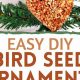 Easy DIY Bird Seed Ornaments: Fun & Festive Feeder! | The DIY Hub: Creative Crafts, Repairs & Life Hacks