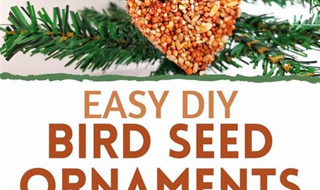 Easy DIY Bird Seed Ornaments: Fun & Festive Feeder! The DIY Hub: Creative Crafts, Repairs & Life Hacks Easy DIY Bird Seed Ornaments: Fun & Festive Feeder! | The DIY Hub: Creative Crafts, Repairs & Life Hacks