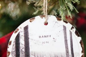Easy DIY Photo Ornament Ideas: Holiday Keepsakes The DIY Hub: Creative Crafts, Repairs & Life Hacks Easy DIY Photo Ornament Ideas: Holiday Keepsakes | The DIY Hub: Creative Crafts, Repairs & Life Hacks